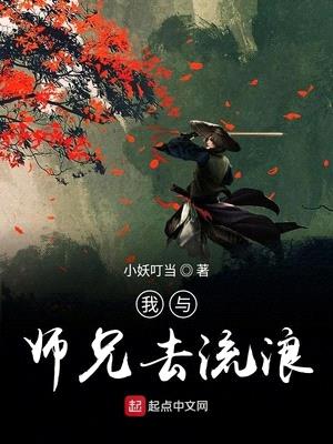 我与师兄去流浪封面